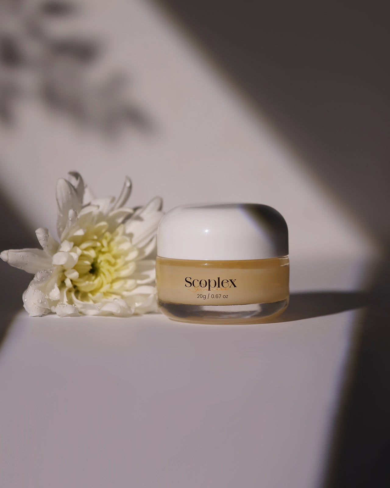 Fruity Shea Butter Lip Balm 20G