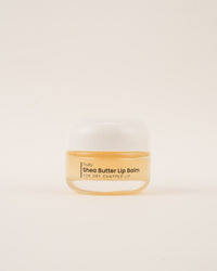 Fruity Shea Butter Lip Balm 20G