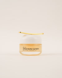 Fruity Shea Butter Lip Balm 20G